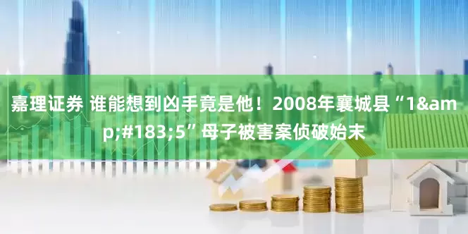 嘉理证券 谁能想到凶手竟是他！2008年襄城县“1·5”母子被害案侦破始末