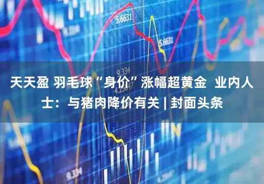 天天盈 羽毛球“身价”涨幅超黄金  业内人士：与猪肉降价有关 | 封面头条